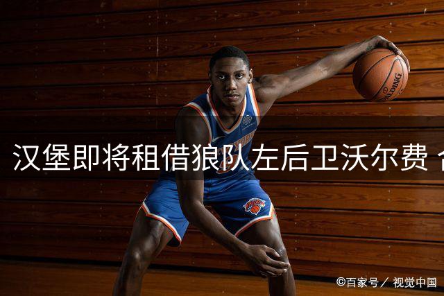 汉堡即将租借狼队左后卫沃尔费 合同设置优先买断权
