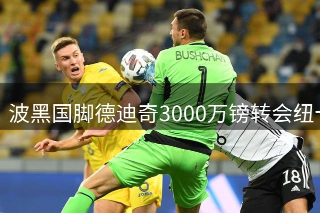 波黑国脚德迪奇3000万镑转会纽卡 将成后防首签
