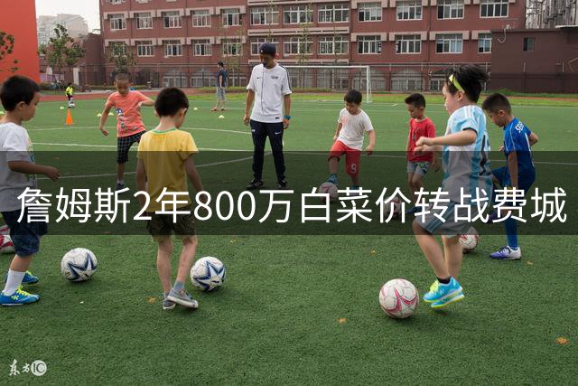 詹姆斯2年800万白菜价转战费城 41岁老将开启终极冠军征程